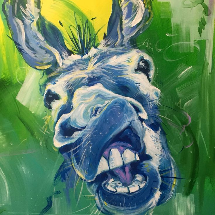 donkey