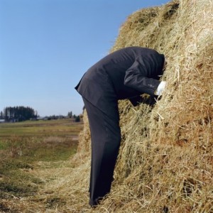 NeedleHaystack