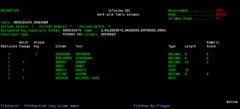 InfoCDC table config