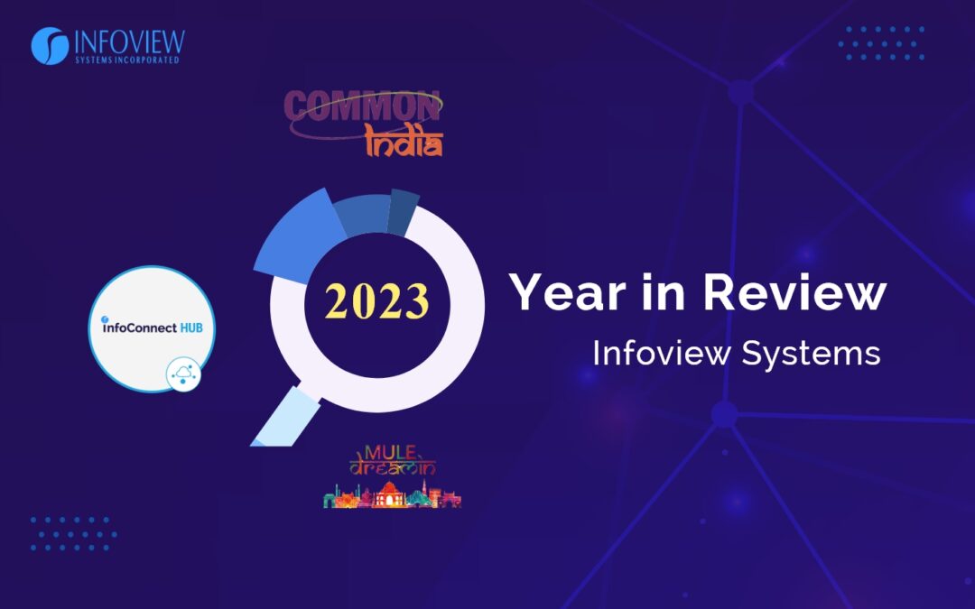 Overview of Infoview Systems 2023