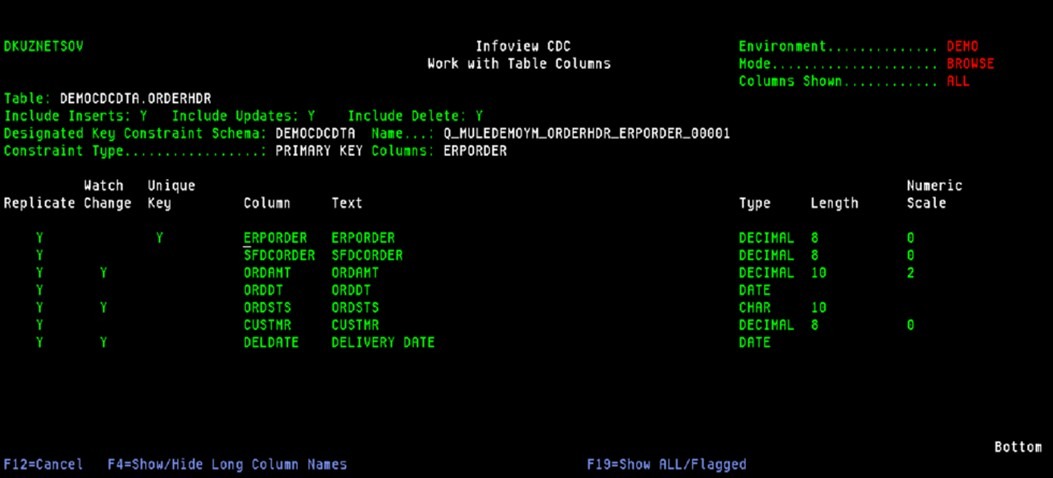 Infoview-CDC-Work-with-table-colums